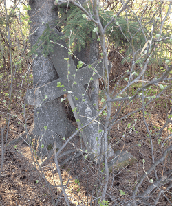 st michael's grave 01