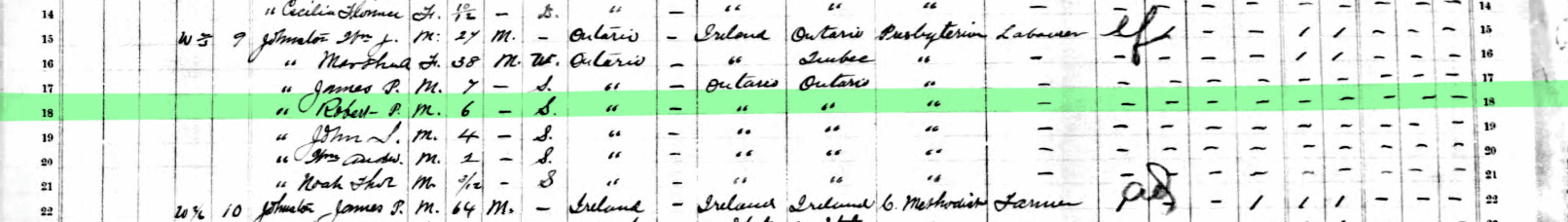 1891censusrpjohnston