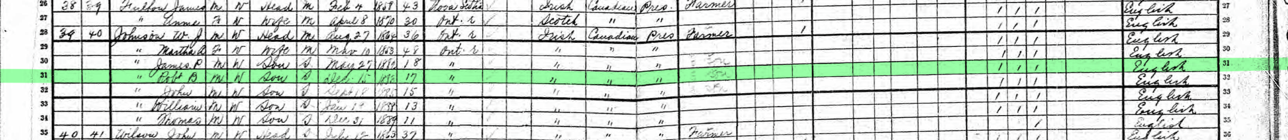 1901censusrpjohnston